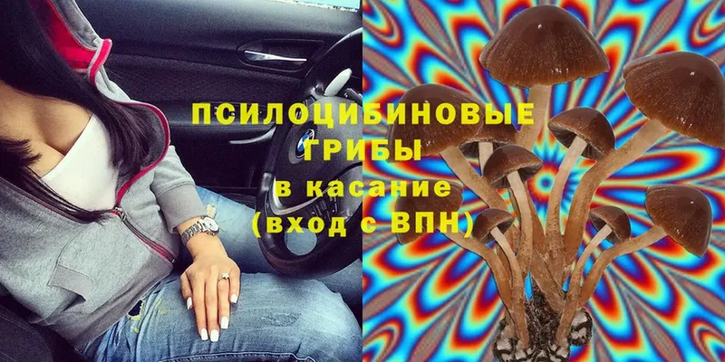 Галлюциногенные грибы Magic Shrooms  Демидов 